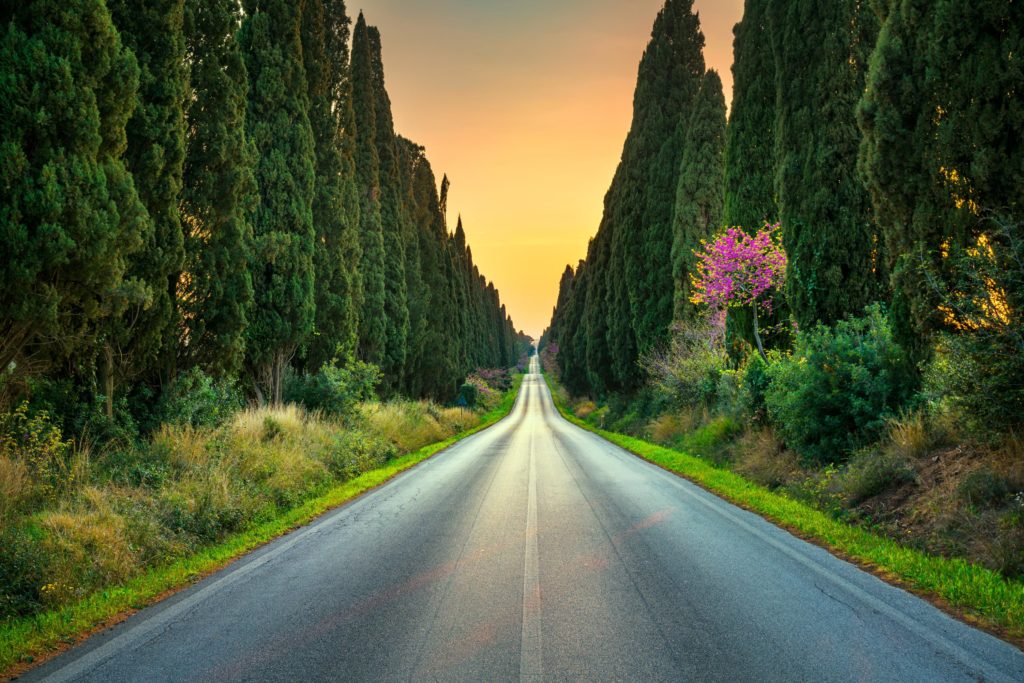 Bolgheri
