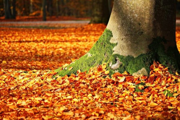 Gli eventi in autunno da non perdere