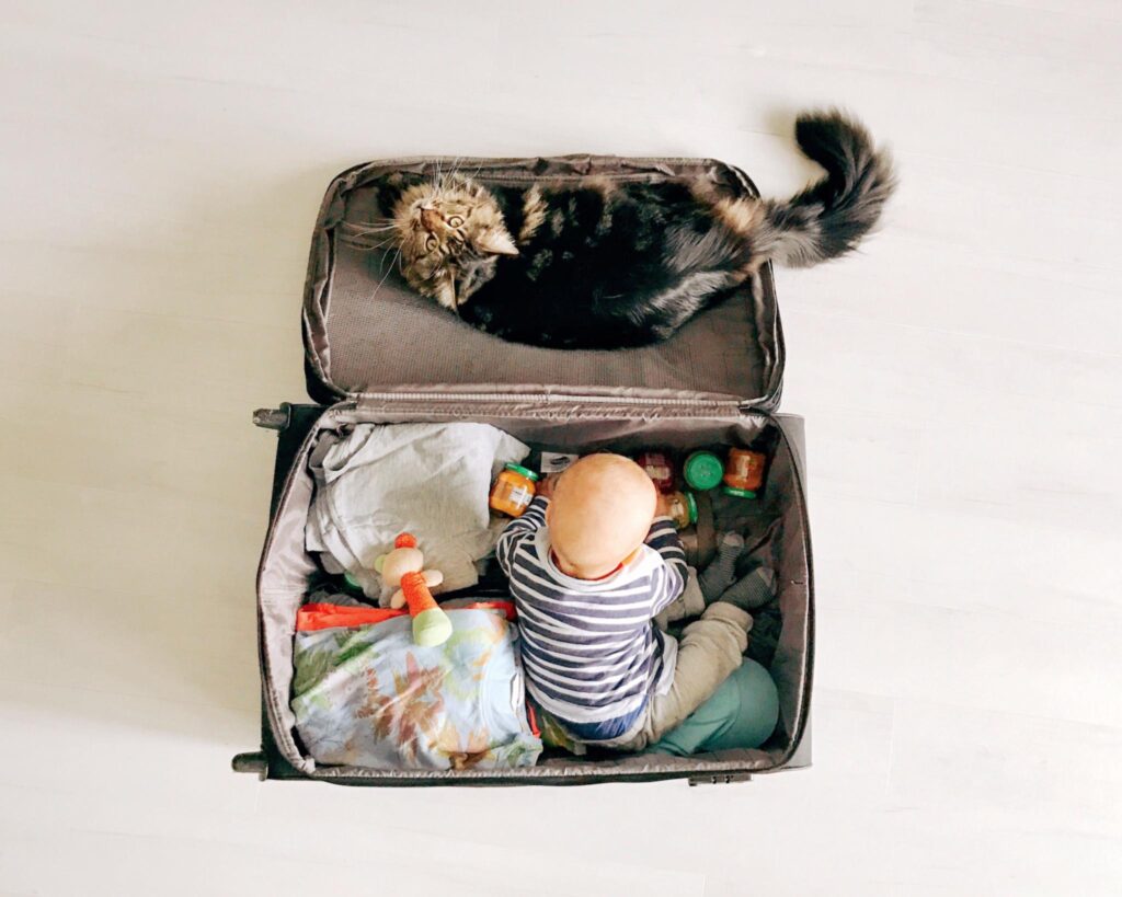 valigia per cani e gatti